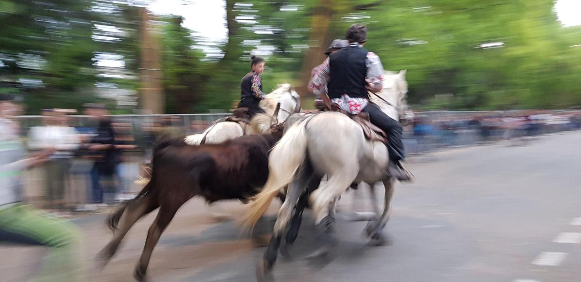 Hotel Le Cheval Blanc Arles Zewnętrze zdjęcie